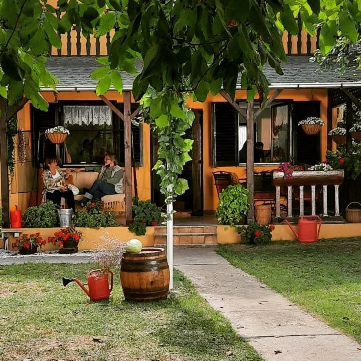 Kuca Ribarev San Villa Beocin Exteriör bild