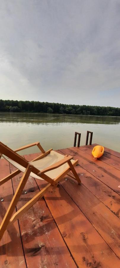 Kuca Ribarev San Villa Beocin Exteriör bild