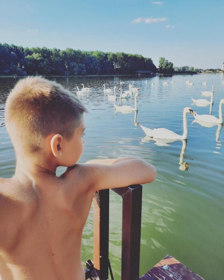 Kuca Ribarev San Villa Beocin Exteriör bild